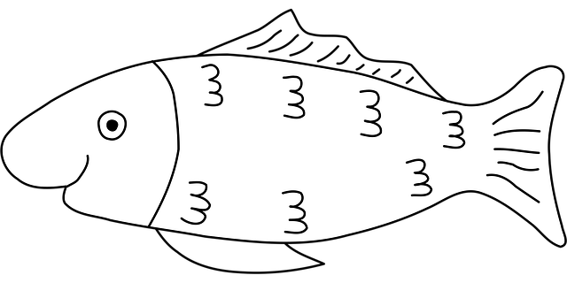 Fische, Tier, Natur, Glücklich