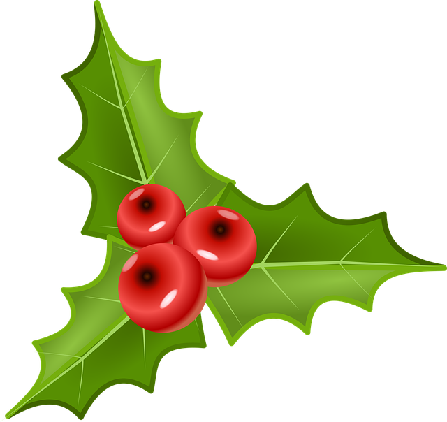 Free holly nature plant vector