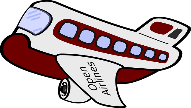 Free airplane funny passenger vector
