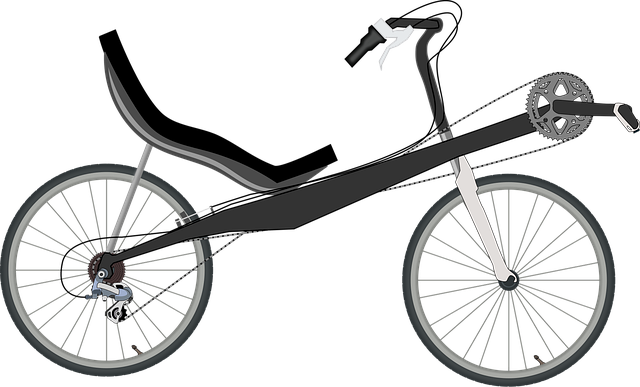 Free bike recumbent chaise lounge vector