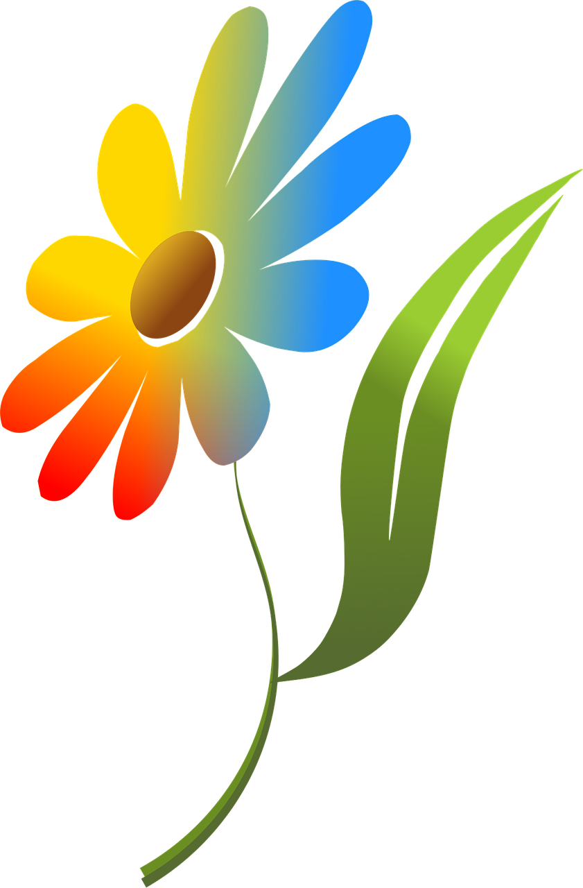 Blomst, Natur, Farverig, Rød, Blå, Grøn
