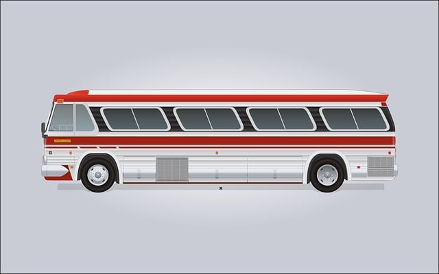 Free bus public transit vector