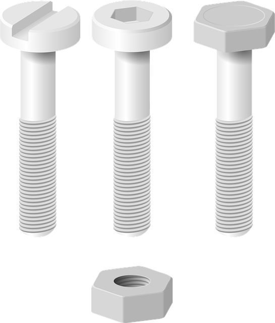Free nut screw bolt vector