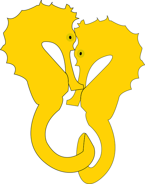 Free seahorse yellow pair illustration