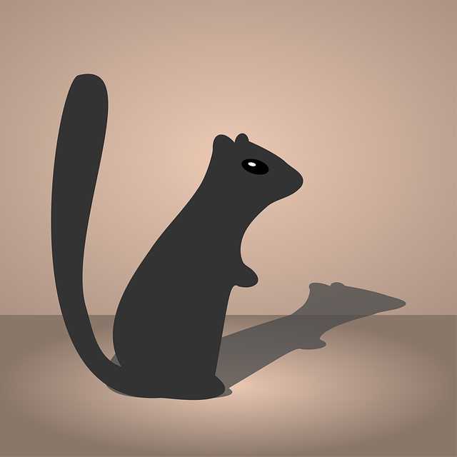 Free chipmunk animal squirrel illustration