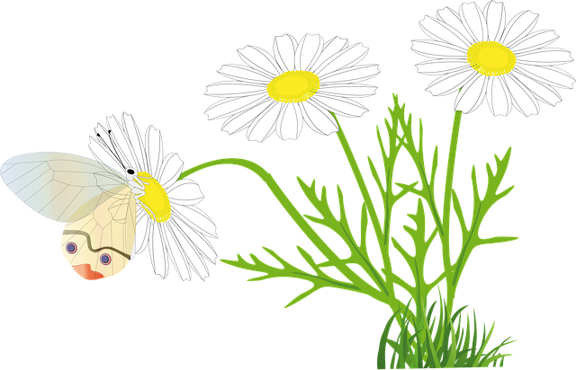 Free flower butterfly yellow flower vector