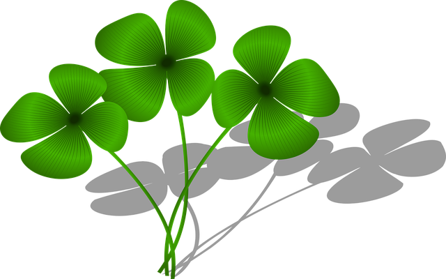 Kløver, Flaks, Flora, Natur, Grønn