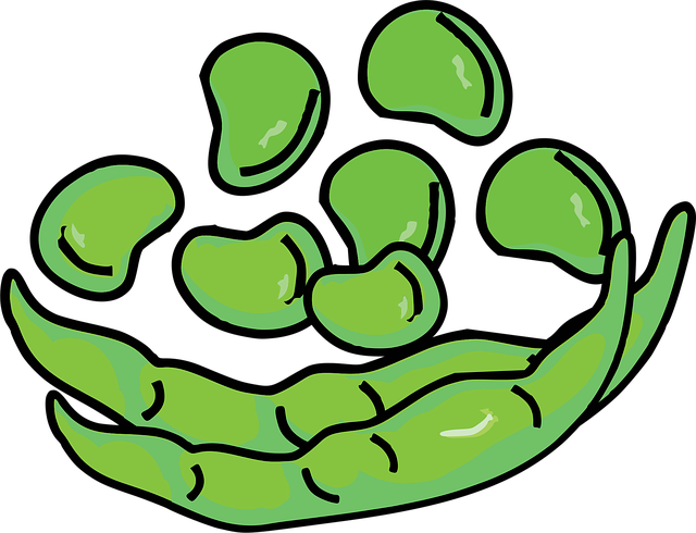 Frijoles, Legumbres, Verduras, Semillas