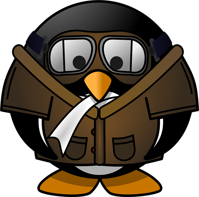 Free goggles penguin pilot vector
