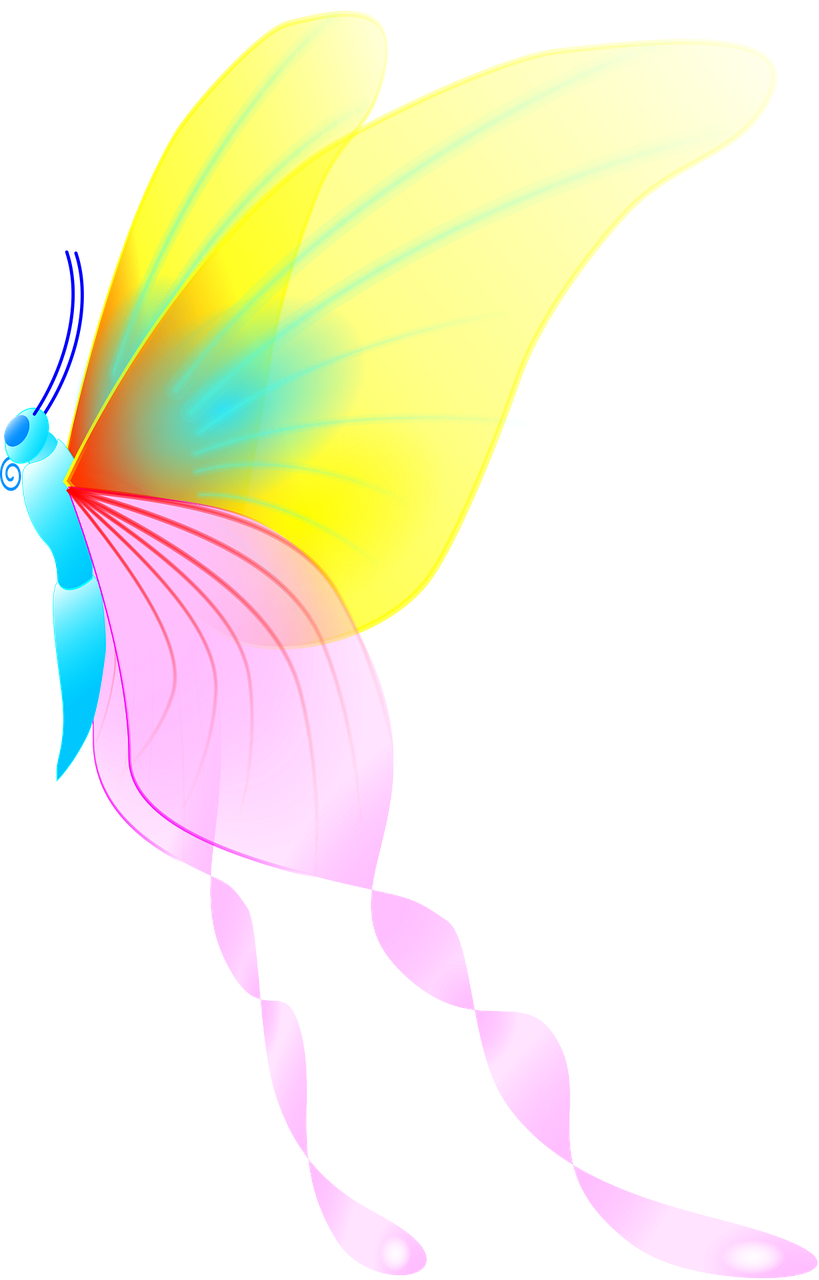 Download Butterfly Animal Nature Royalty-Free Vector Graphic - Pixabay