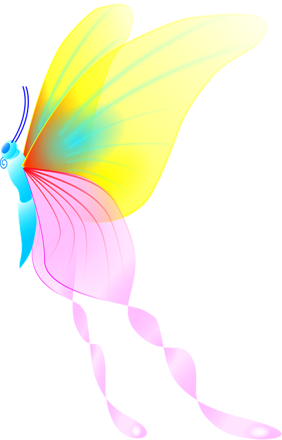 Free butterfly animal nature vector