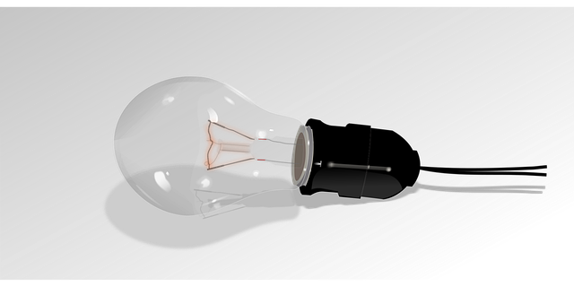 Free light bulb lamp vector