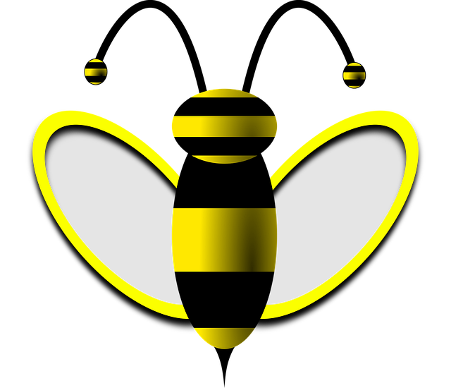 Free bee honey bee wasp vector