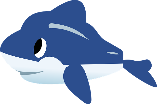 Download free HD stock image of Dolphin Nature Free dolphin nature fish vector