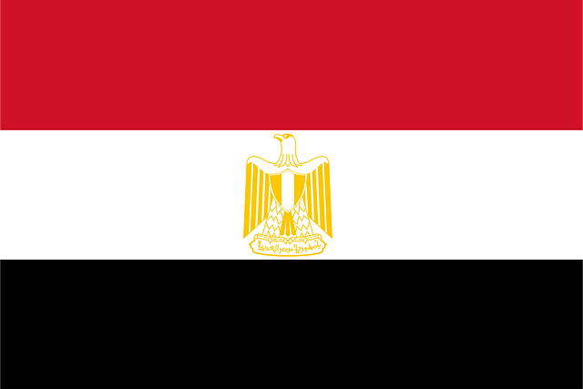 Free egypt flag national flag vector