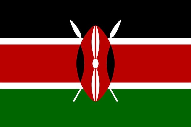 Free kenya flag national flag vector