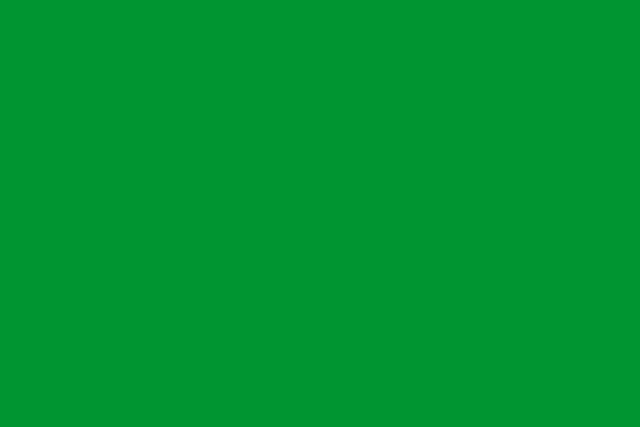 Free libya flag national flag vector