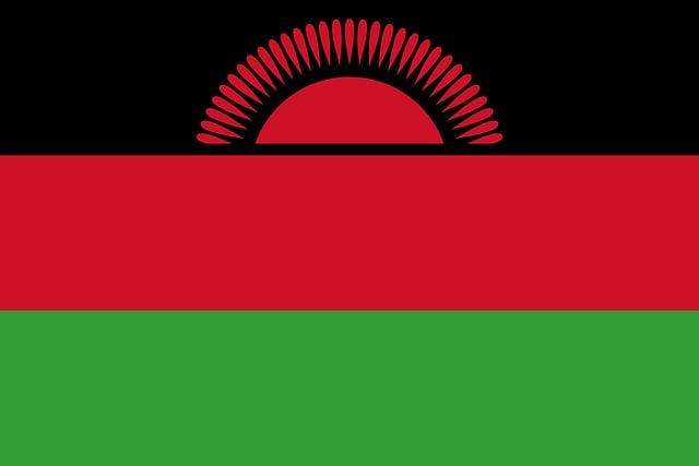 Free malawi flag national flag illustration