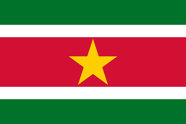 Free suriname flag national flag vector