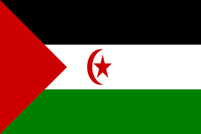 Free western sahara flag national flag vector