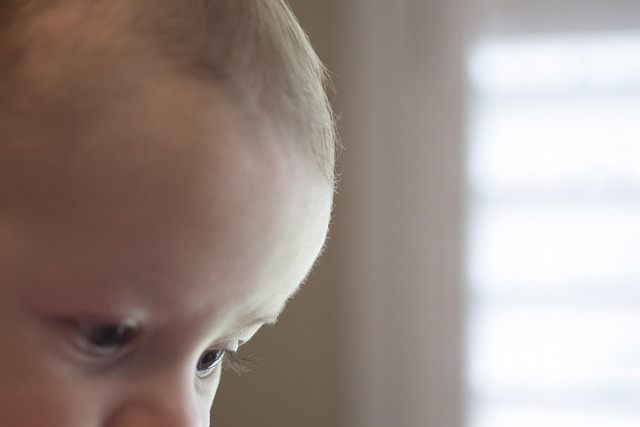 Free Baby Stare photo and picture
