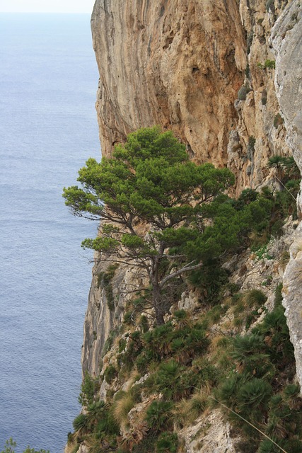Free Mallorca Steep Slope photo and picture