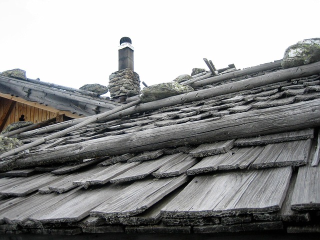 Free Roof Hut photo and picture