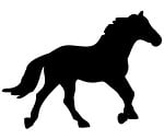 horse, equine, animal