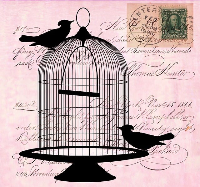 Vogel, Vögel, Schwarz, Silhouette