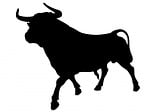 bull, animal, beast