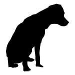 dog, drawing, sketch