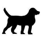 dog, drawing, sketch