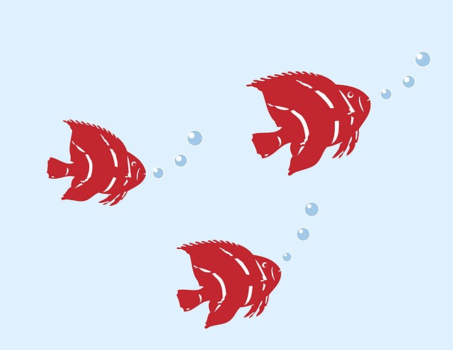 Fish Rbc Illustration Explore 4,117+ Free Fish Illustrations: Download Now - Pixabay