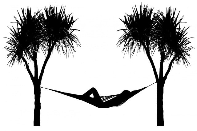 Free hammock tree trees illustration