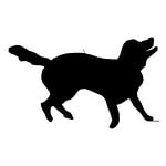 happy, dog, drawing