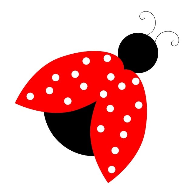 Free ladybug ladybird red illustration