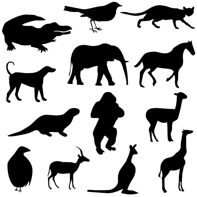 Free animals silhouettes drawing illustration