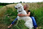 woman, dog, nature