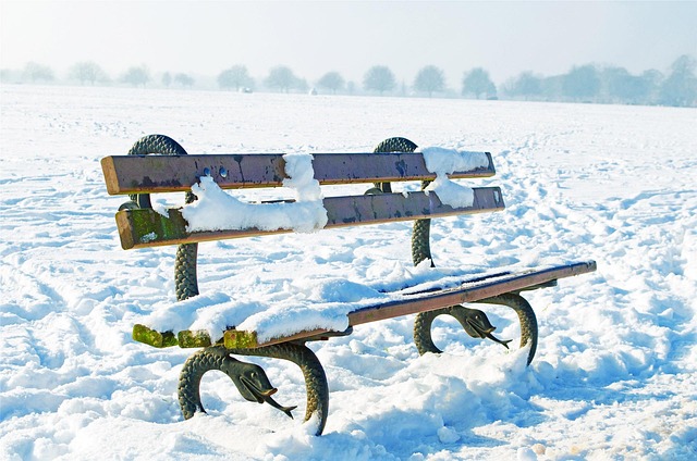 Free Bench Park photo and picture