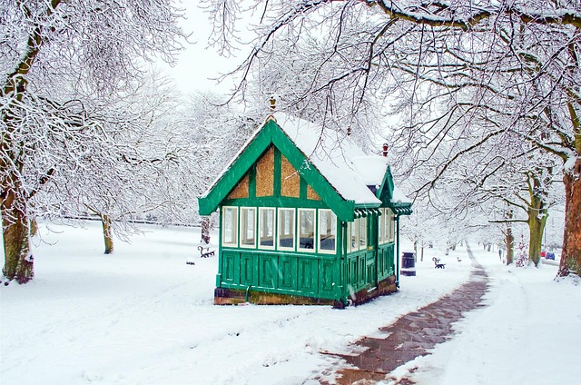 Free Snowy Snow photo and picture