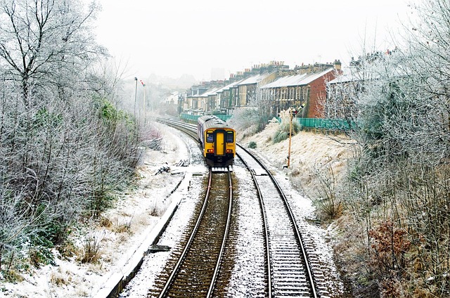 Free Winter Frost photo and picture