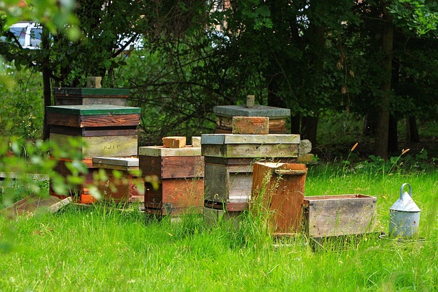 Beehive Beehives Outdoors - Free photo on Pixabay - Pixabay