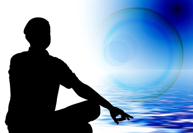Free silhouette man meditation interior illustration