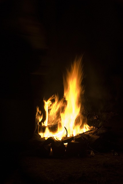 Free Fire The Flame photo and picture