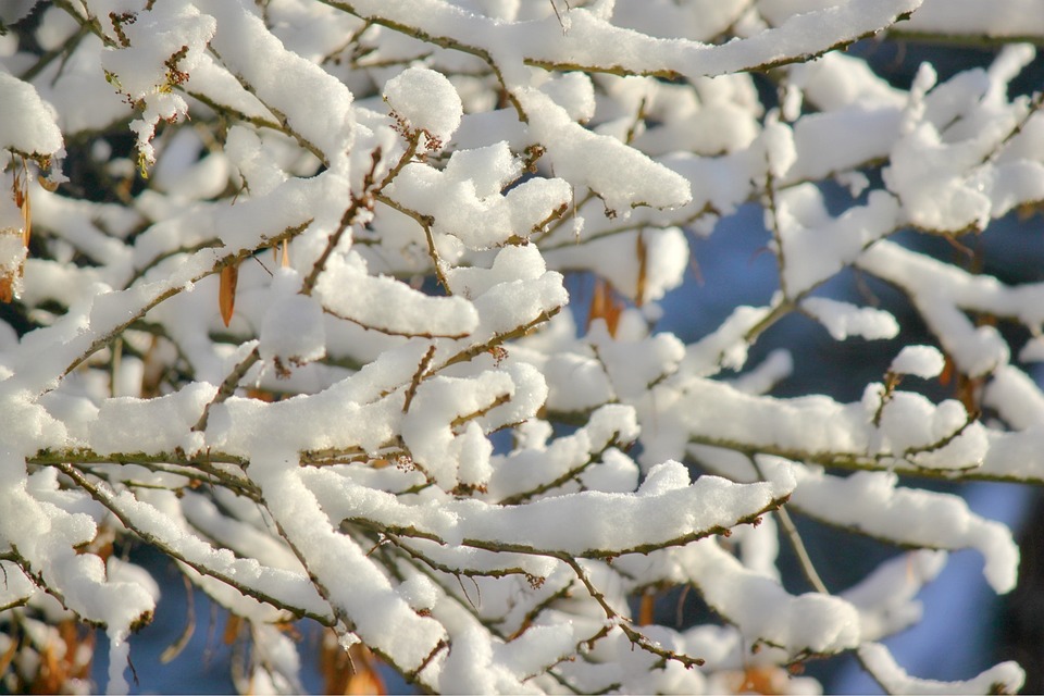雪 冬天 冰 - Pixabay上的免费照片 - Pixabay