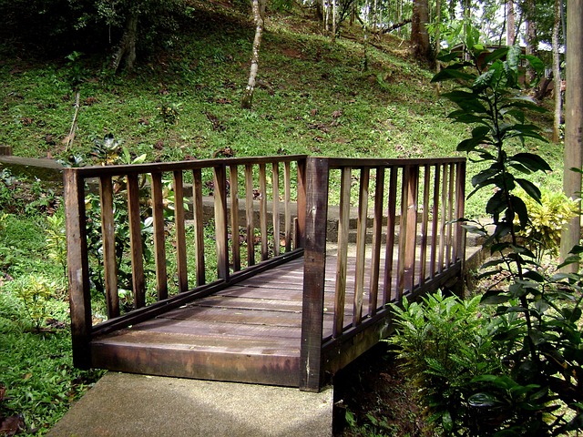 Ponte, Madeira, Natureza