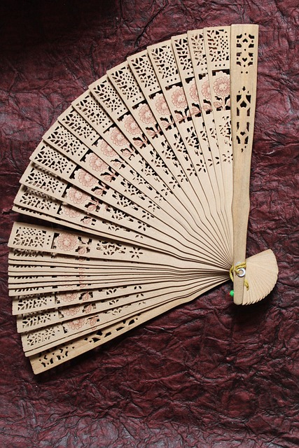 10,000+ Free Hand Fan & Fan Images - Pixabay