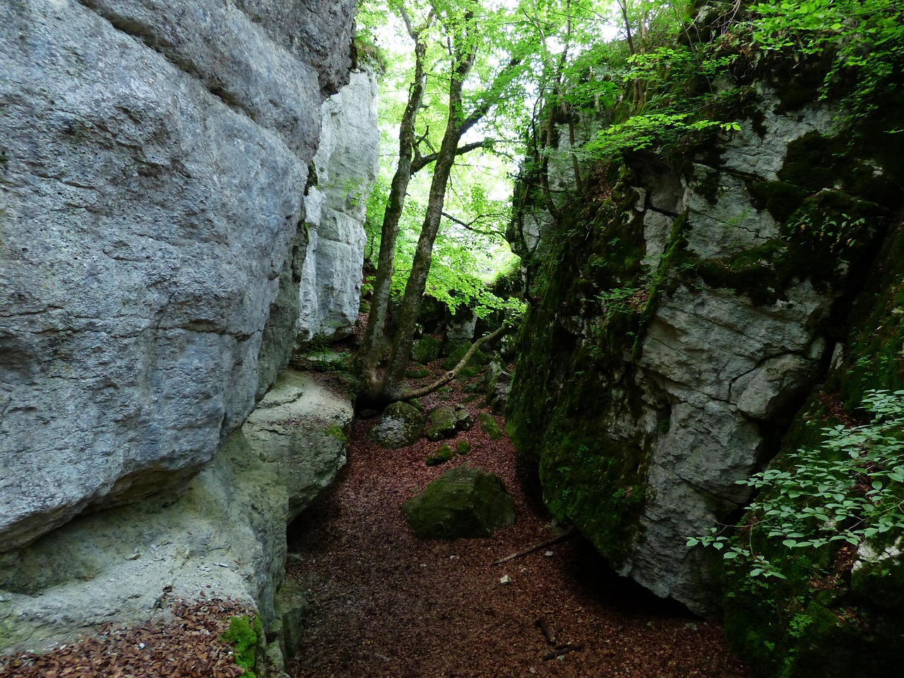Rock Cleft Sheep Mountain - Free photo on Pixabay