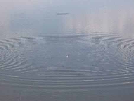 Free Fishing Water photo and picture