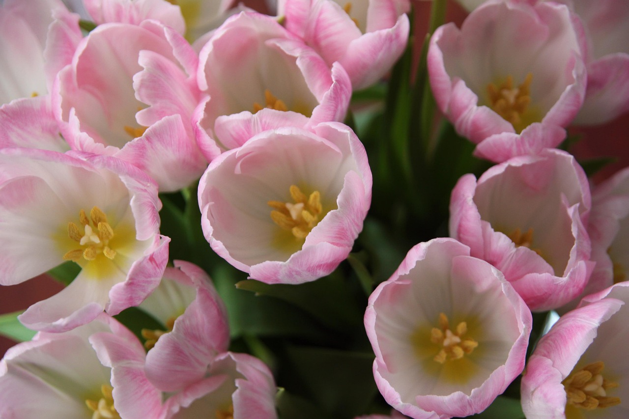 Pink - free online jigsaw puzzle photo
